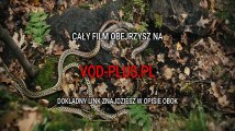 Wężowe wzgórza Cały Film Cda (2019) | Lektor PL HD
