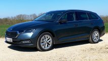 Skoda Octavia Combi TDI 2020