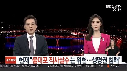 헌재 "경찰 '물대포' 직사살수는 위헌…생명권 침해"
