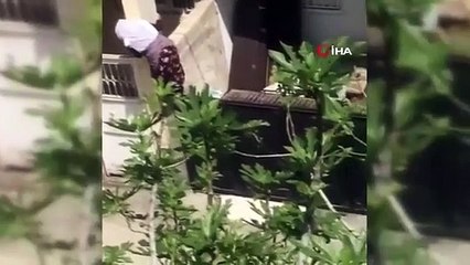 75’lik nine firarda! Örümcek gibi tırmandı