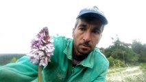 Doğasever vatandaş, koparmanın cezası 72 bin lira olan çiçekle selfie çekti