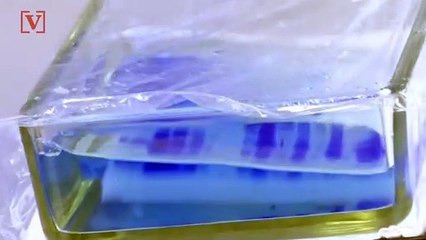 Swiss Lab Looking to Test Coronavirus Vaccine on Humans as Early as August