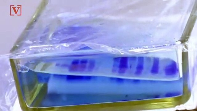 Swiss Lab Looking to Test Coronavirus Vaccine on Humans as Early as August