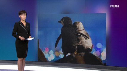 김주하의 4월 23일 '이 한 장의 사진'