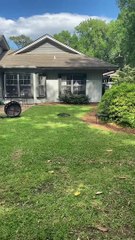 Un énorme alligator fait trempette dans un jardin