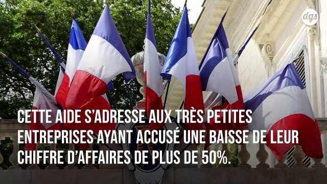 Les entreprises ayant des sièges dans les paradis fiscaux ne seront pas aidées par la France