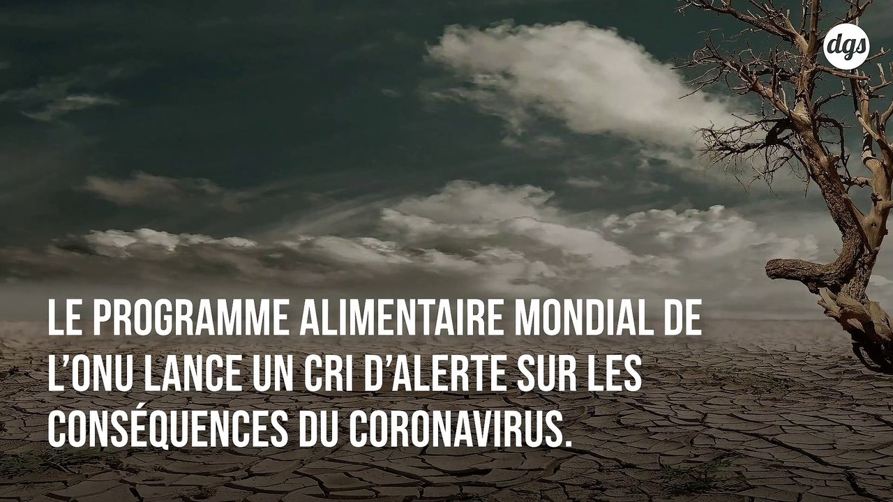 L'ONU alerte sur les conséquences du Covid-19 : "Nous sommes au bord d'une pandémie de faim"