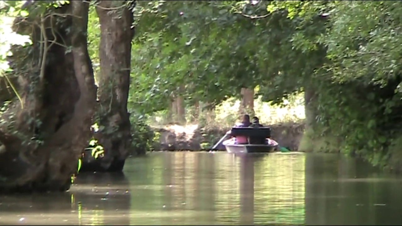 Marais poitevin