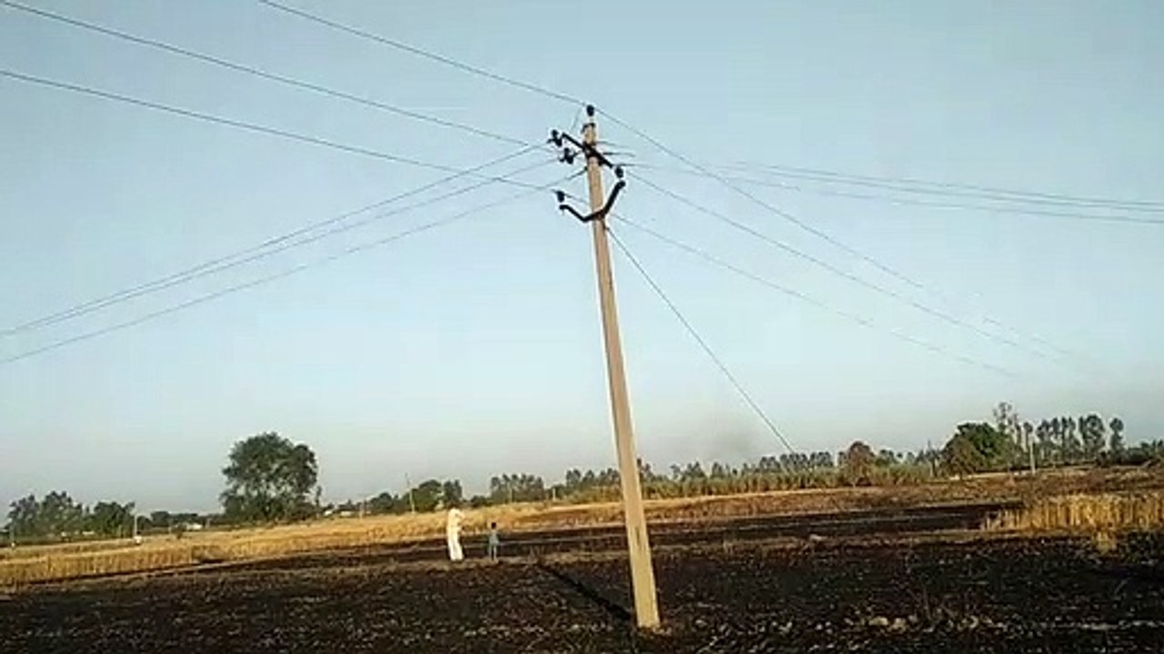किसान के 14 बीघा गेहूं की फसल जलकर राख