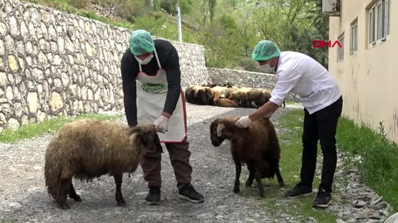 Şırnak'ta ihtiyaç sahiplerine ramazanda 8 ton et dağıtılacak