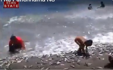 क्या मछलियां पानी के बाहर जिंदा रह सकती हैं?