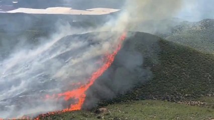 Declarado un incendio forestal en Almería
