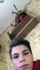 Cat Knocks Potted Plant Onto Owner