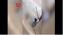 कुत्ते को पीट-पीटकर मार डालने का वीडियो हुआ वायरल, डीटीयू के गार्ड के खिलाफ मामला दर्ज