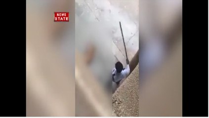 कुत्ते को पीट-पीटकर मार डालने का वीडियो हुआ वायरल, डीटीयू के गार्ड के खिलाफ मामला दर्ज