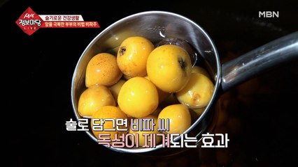 암을 극복한 부부의 비법 비파주