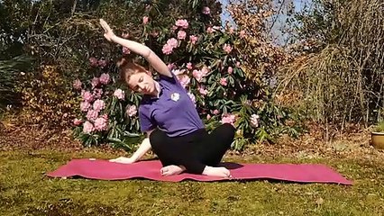 Hive's helping hands - from a distance!