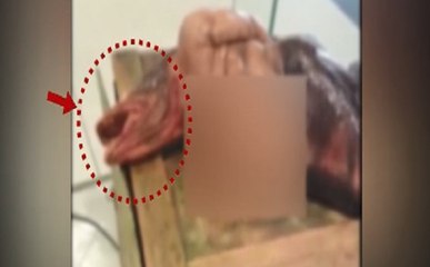 खबरों का पंचनामा: जानिए, जलपरी की क्या है हकीकत?