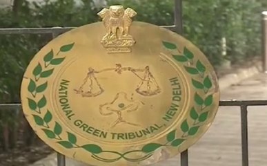 भारत-श्रीलंका का मैच कराने पर NGT ने लगाई फटकार