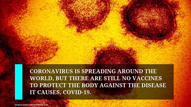 Coronavirus vaccine: When will we have one?