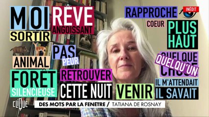 Des mots par la fenêtre : Tatiana De Rosnay - Clique, 20h25 sur C+