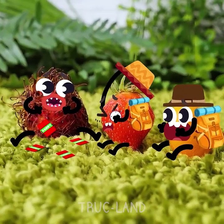 Les choses secrètes que tu dois connaître sur ces trucs magiques - TRUC-LAND