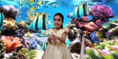 Pari new baba  shark dodo