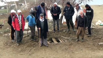 Kazdığı damdan ahıra giren ayı 20 koyunu telef etti