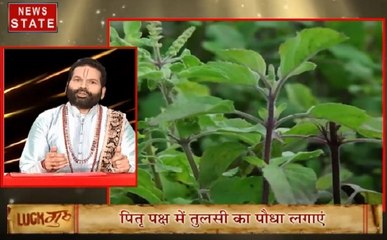 Luck Guru: 27 सितंबर का राशिफल, साथ ही जानें कौन से पेड़ बना सकते हैं आपको धनवान