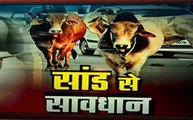 Uttar pradesh: गोरखपुर में सांड का आतंक, 1 हफ्ते में कई लोग हुए सांड के गुस्से का शिकार