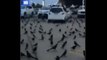 Crows who smell corpse in Texas, one of the largest states in the USA, attacked people waiting in the market queue
