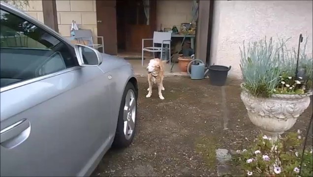 Cannelle après son avc