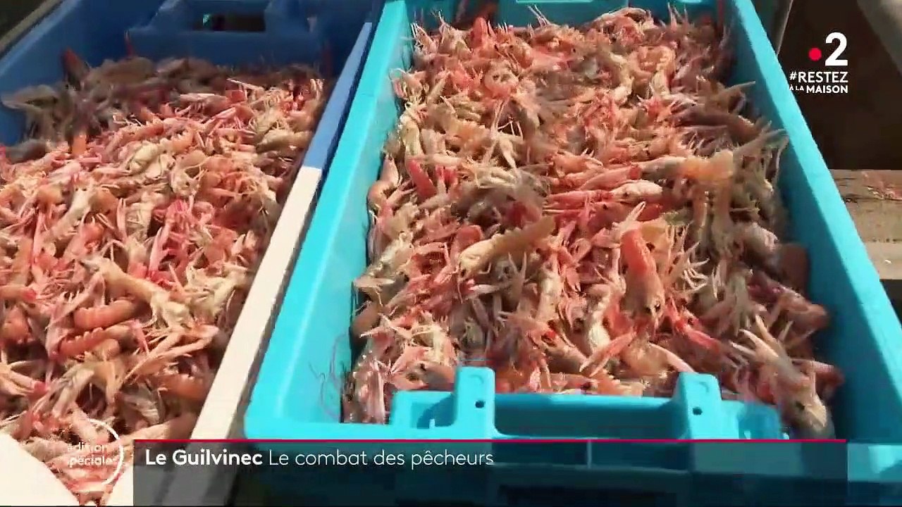 Les pêcheurs redeviennent actifs mais peinent à trouver des clients