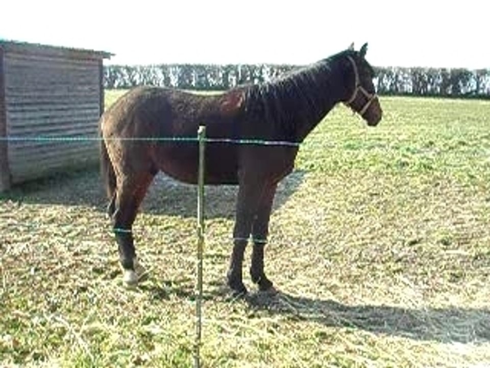 soprano de bisoir 2