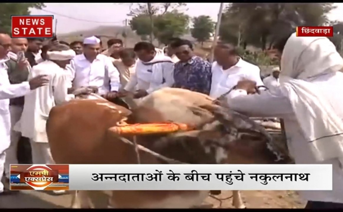 एमपी एक्सप्रेस : अन्नदाताओं के बीच पहुंचे कांग्रेस के उम्मीदवार नकुलनाथ