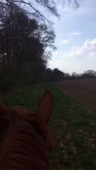 Rare Dust Devil in England Doesn't Spook This Horse