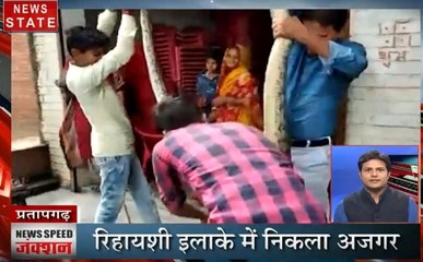 News Speed Junction : रिहायशी इलाके में निकला 14 फीट लंबा अजगर, BJP नेता की कार का कटा चालान