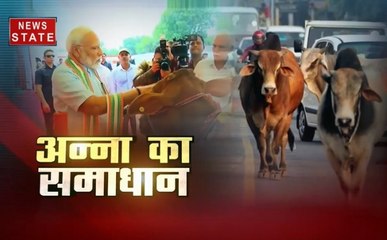 खबर विशेष : कृत्रिम गर्भाधान अभियान की शुरुआत, आवारा पशुओं से मिलेगा छुटकारा?