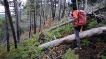 SAB.18-8-18- ULTIMA ESCURSIONE DEL VIAGGIO IN CALABRIA NEL PARCO NAZ.DELL' ASPROMONTE CON TREK DA BOVA AI PIANI DI BOVA.