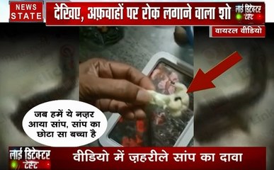 Viral Video: फूल गोभी में निकल रहे हैं जहरीले सांप, देखें क्या है इस दावे का सच