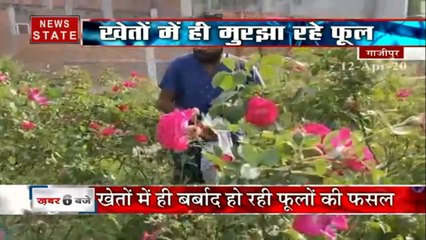 लॉक डाउन के चलते गाजीपुर में फूलों की खेती पर लगा ग्रहण