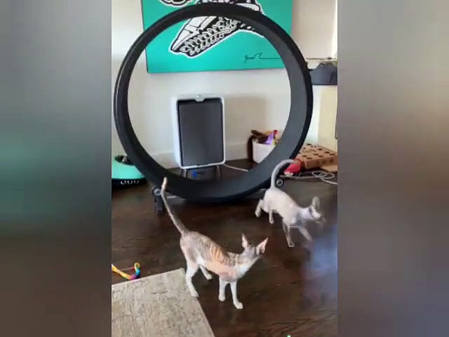 Faster Faster Faster