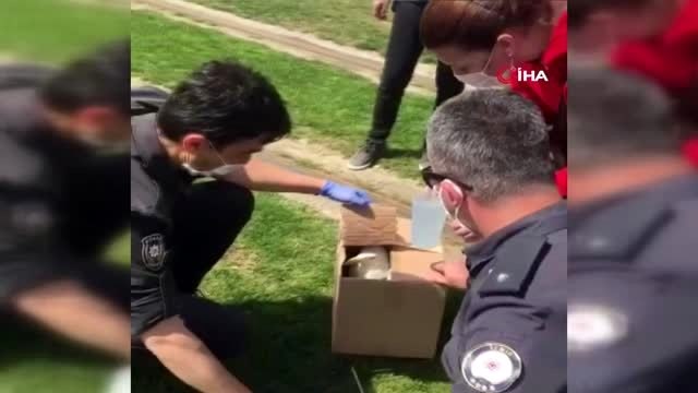 Polis memuru, aç martının imdadına yetişti