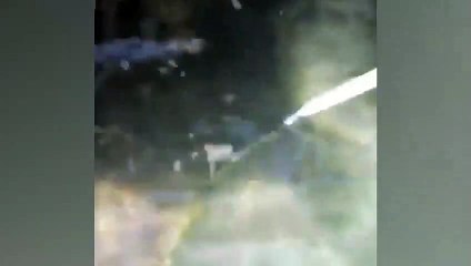 Koronavirüs | Venedik'te kanallar berraklığına kavuştu; meydan ahtapota kaldı