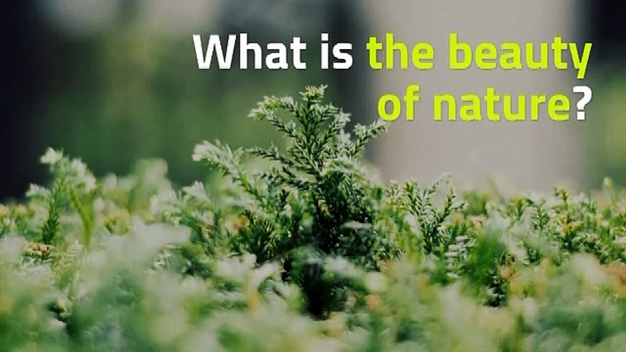 What is nature
