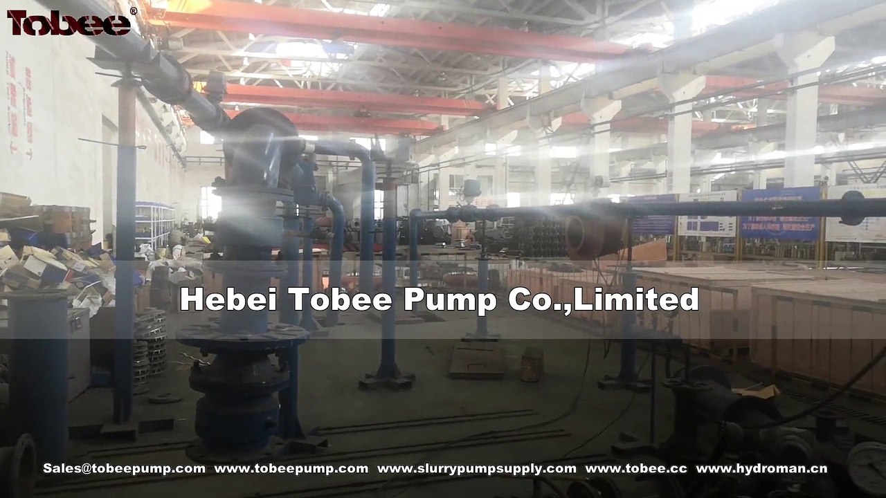 Tobee®  vertical slurry pump performance test