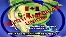 Plans being implemented globally - 世界規模で実施されている計画 - NWO