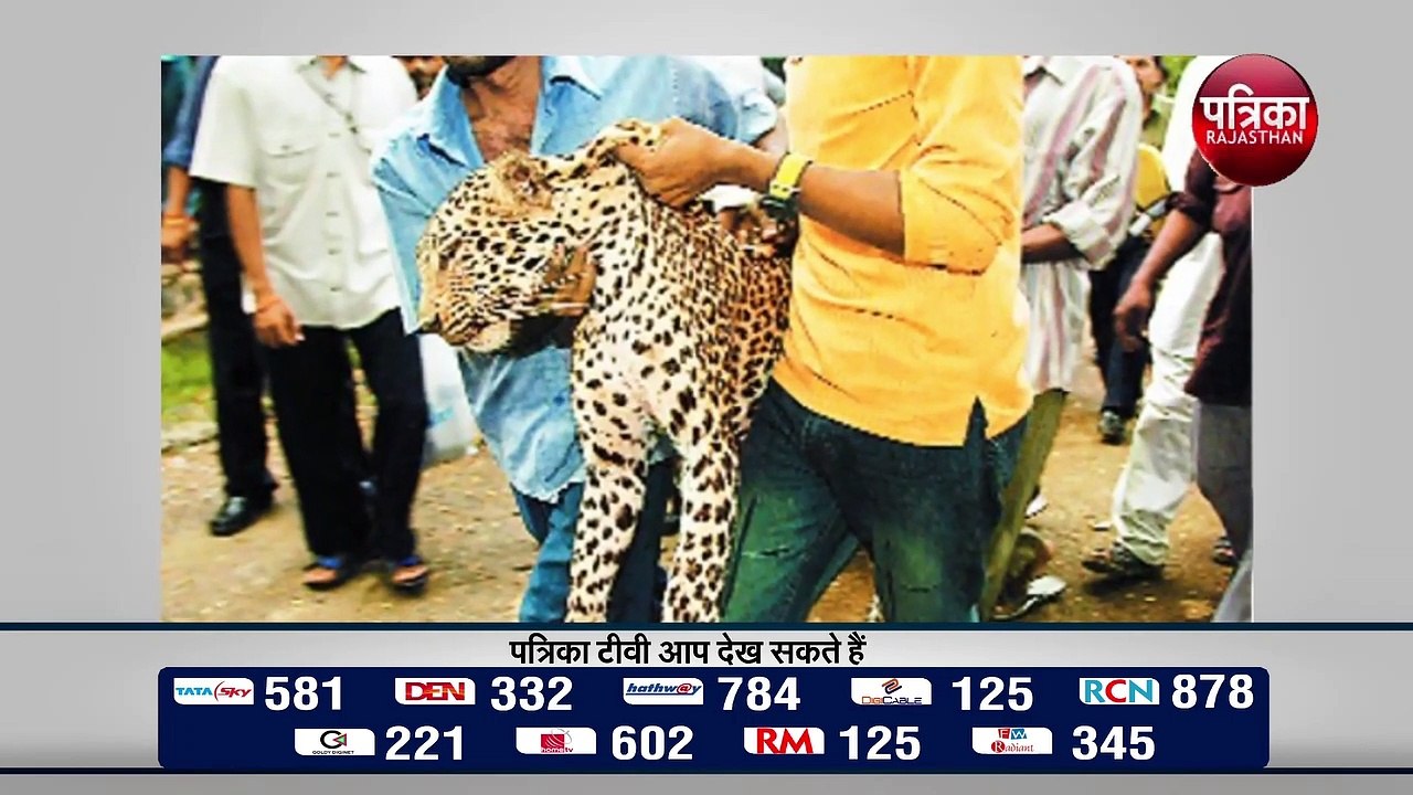 लॉकडाउन के दौरान बढ़ रही है वन्यजीवों के शिकार...