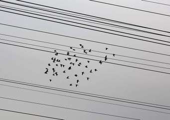 जासूसी के नए हथियार हैं चीन में बने ये ड्रोन