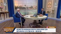 Necmettin Nursaçan'la Sohbetler - 28 Eylül 2019